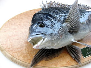 �N���X�^���R�[�e�B���O�Ŏd�グ���A���P���`�k�B