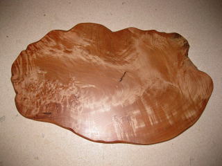 �_�^�{�[�h�i�Ȃ̖؁j