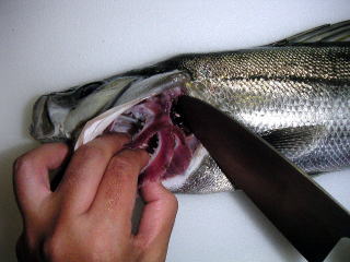 �������Ȃ��悤�ȋ��̒��ߕ�