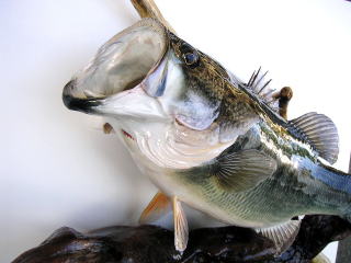 �u���b�N�o�X�̌��������H�A���؎d�l�B