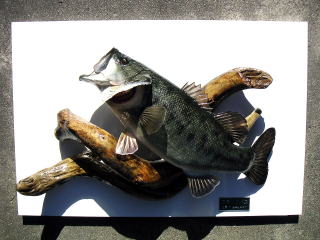 ���؁i�I�v�V�����j