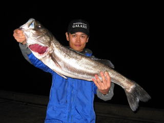 �����H�[��GALAXY�̐E�l�ł��B